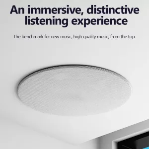 High Quality Wireless Ceiling Master Speaker Slave BLE Wireless Speaker Work with Background Music Amplifier Mounted on Ceiling - Image 2